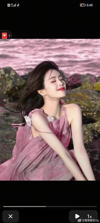 疯狂的贵族免费观看国语界面